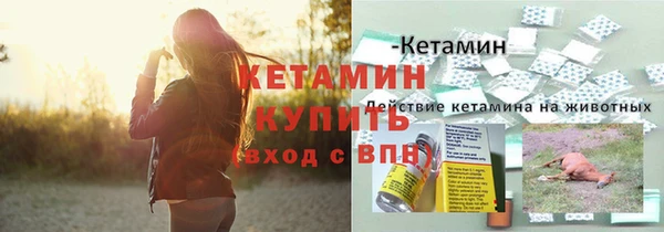 крисы Нягань