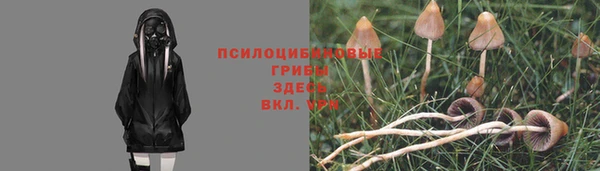 героин Абаза