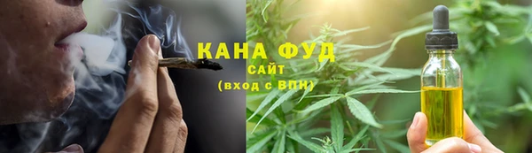 сатива Няндома