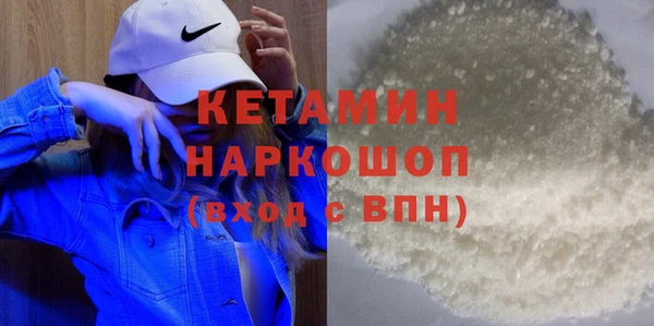 сатива Няндома