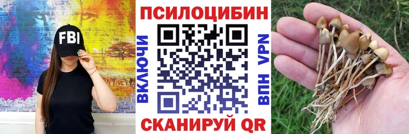 omg   Мосальск  Псилоцибиновые грибы MAGIC MUSHROOMS 